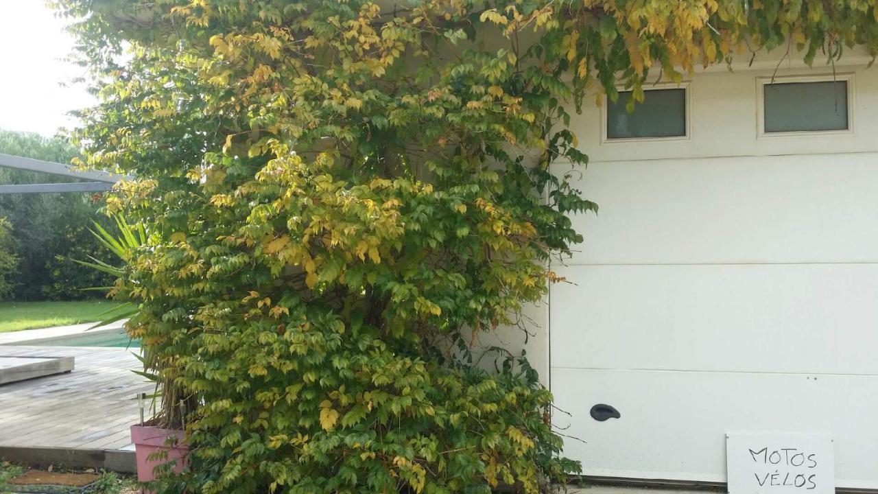 Le Carre Des Vignes Hotell Six-Fours-les-Plages Exteriör bild